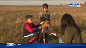 В республике появится контактный питомник собак алано эспаньол