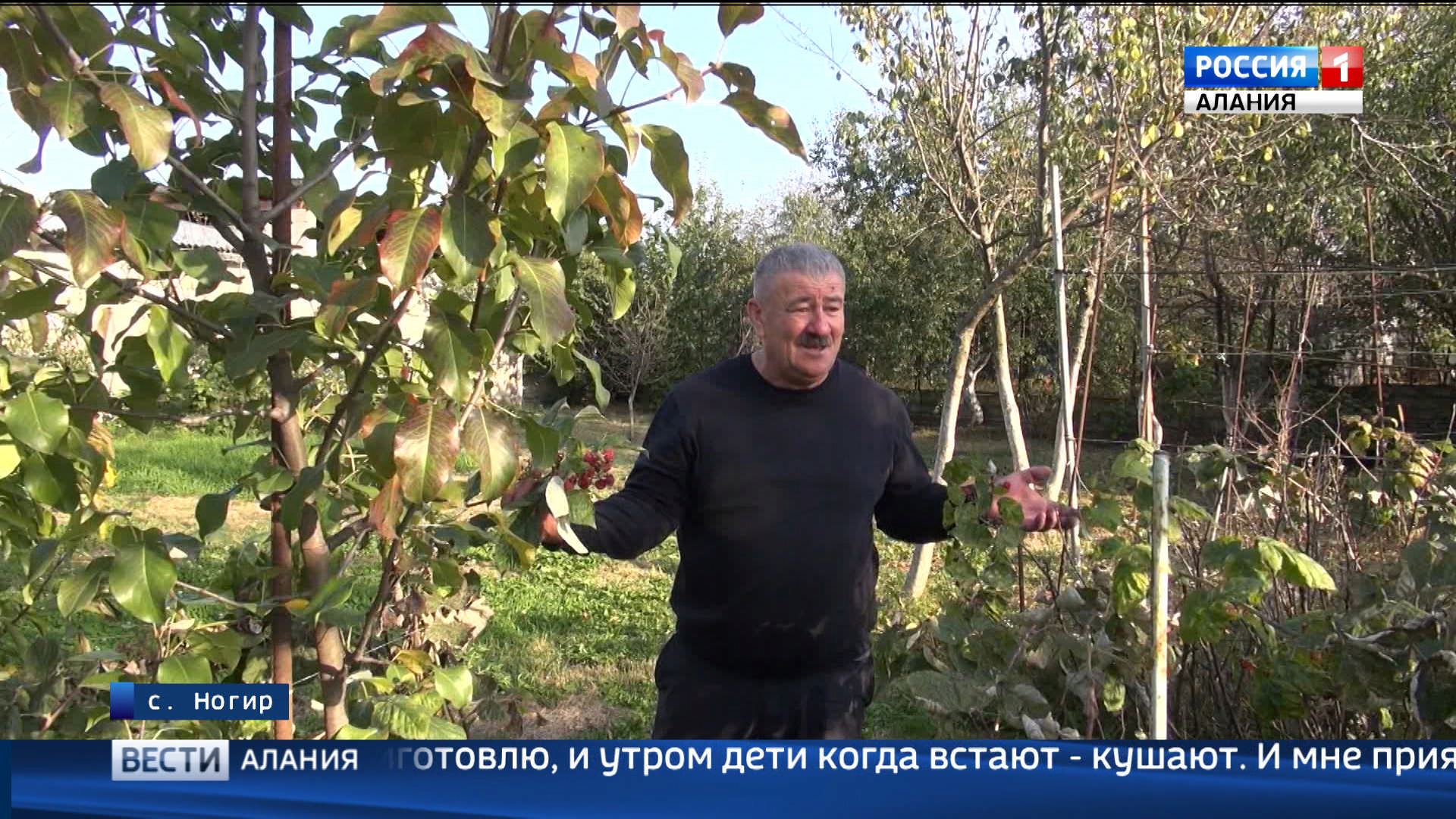 Погода северная алания. Осетия на карте. Город дигора северная осетия. Мизур республика северная осетия алания. Национальный парк алания башни.