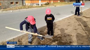 Цæгат Ирыстоны каштанты аллейæйыл ма бафтыд. Европæйы нымад у æппæтæй даргъдæрыл