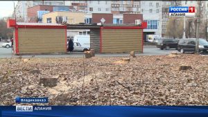Неизвестные срубили 20 деревьев на пересечении пр. Доватора и улицы Первомайская