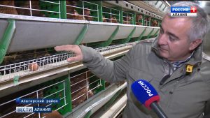Первая в Северной Осетии полностью автоматизированная птицефабрика заработала в Алагирском районе