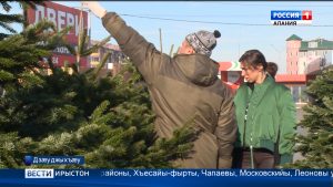 Цæгат Ирыстоны кусын райдыдтой заз бæлæсты базартæ