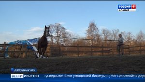 Йе нæниздзинад хъыгдард кæмæн у, уыцы сывæллæттæн сæ бон уыдзæн Дзæуджыхъæуы сырддоны лæвар бæхыл атезгъо кæнын