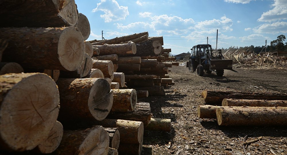 В Южной Осетии откроется деревообрабатывающее предприятие