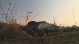 Жилые дома и хозпостройки пострадали в результате возгорания сухостоя в садоводческом товариществе «Кобан»