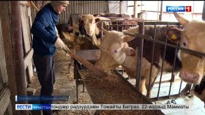 Амалхъом адæймаджы фæндтæ æмæ хицауады æххуыс куы баиу вæййынц, уæд, æнæмæнг, рауайы хорз хъуыддаг