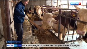 Молодой фермер из Ардонского района, получив помощь от главы республики, расширил приусадебное хозяйство