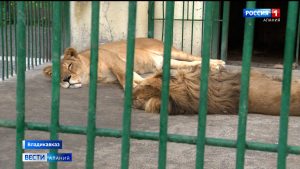 Владикавказский зоопарк закрыт для посещений в период пандемии