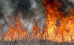 В Северной Осетии возбуждено уголовное дело по факту пожара в Ново-Георгиевском