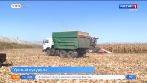 В Правобережном районе завершают уборку поздних сортов кукурузы