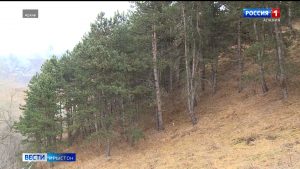 В четырех районах республики с завтрашнего дня ограничат пребывание людей в лесах