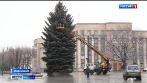 На площади Свободы установили главную новогоднюю елку республики