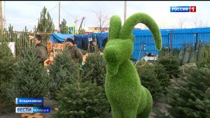 Во Владикавказе начали работу елочные базары и новогодние ярмарки