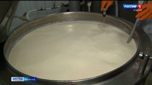 В Заманкуле заработало новое предприятие по переработке молока