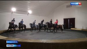 Новые лошади, новая арена: после нескольких лет трудностей конный театр «Нарты» снова готов заявить о себе