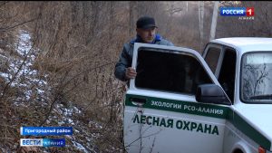 В преддверии новогодних праздников в Северной Осетии усилили охрану территорий с хвойными насаждениями