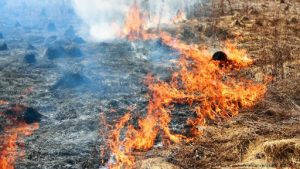 Возгорание сухостоя у селения Харисджин удалось локализовать, но очаги горения остаются