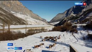 Североосетинские фермеры успешно осваивают горные территории