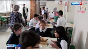 Активисты ОНФ выявили недостатки в организации системы горячего питания в двух школах Моздока