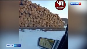 Казбек Доев: Заготовка леса на территории Урсдонского лесничества является законной