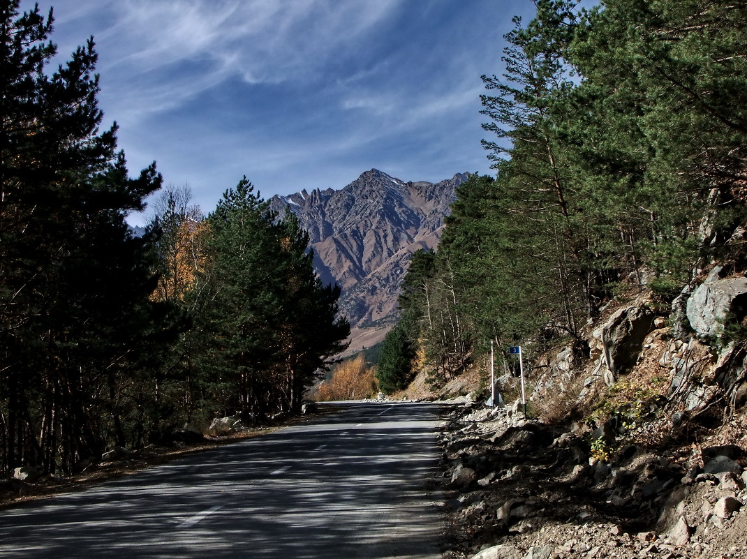 Северная Осетия – в десятке лучших  регионов по эффективности исполнения полномочий в области лесных отношений