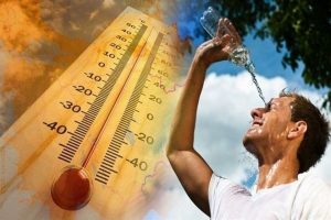 Синоптики предупредили о 40-градусной жаре на Северном Кавказе