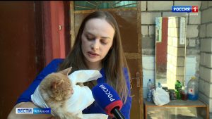 Волонтеры спасают бездомных животных в Северной Осетии и надеются на поддержку руководства республики