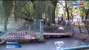 В Центральном парке Владикавказа планируют реконструировать сооружения у главного пруда