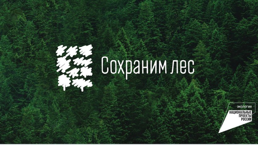 В рамках всероссийской акции «Сохраним лес» в Северной Осетии высадят более 12 тыс. деревьев