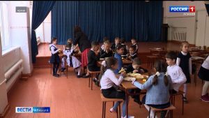 В Северной Осетии для учеников начальных классов и детей из малоимущих семей уравняли стоимость горячего питания