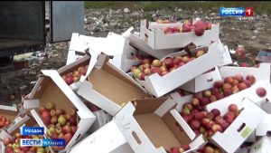 Почти 2,8 тонн контрафактных яблок были уничтожены в Северной Осетии
