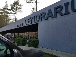 Верховный суд РСО-А отменил решение о сносе ресторана «Дендрариум»