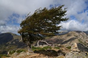 В ближайшие двое суток местами в горных и предгорных районах Северной Осетии ожидается сильный ветер