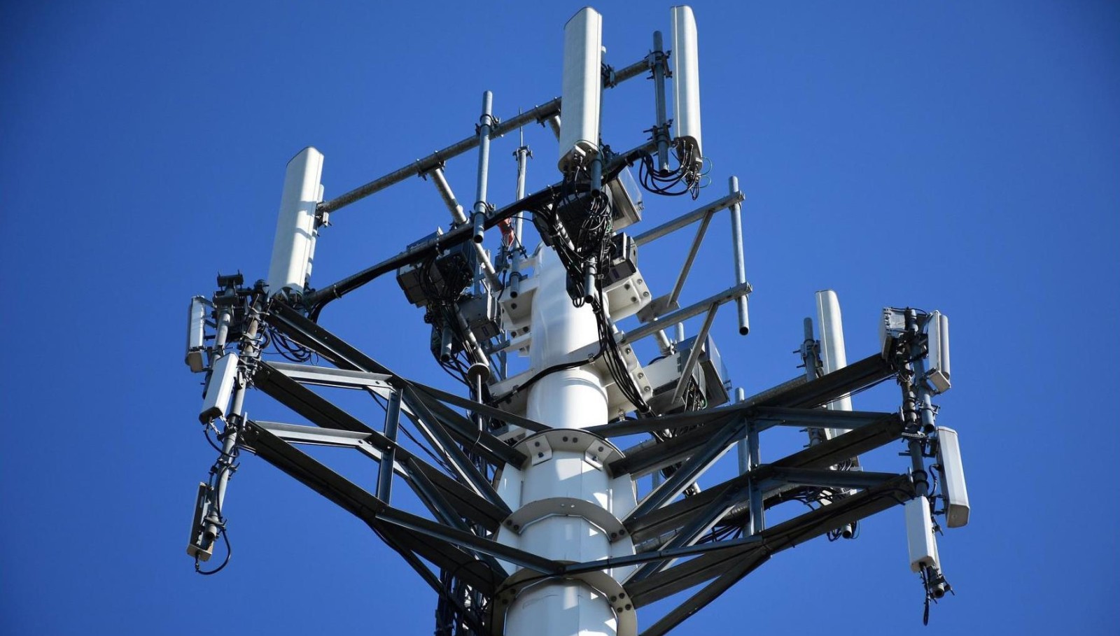 Прокуратура предупредила телекоммуникационную компанию о недопустимости строительства вышки сотовой связи на выбранном участке в Хаталдоне
