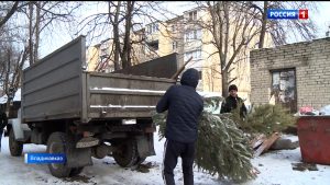 Жителей Северной Осетии просят не выбрасывать елки в мусорные контейнеры, а оставлять рядом с ними