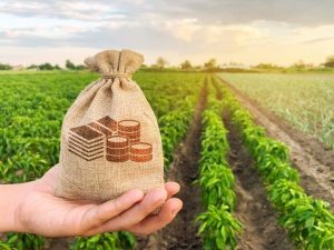 Северная Осетия получила дополнительный лимит на поддержку льготного кредитования сельхозпроизводителей в размере более 34 млн рублей