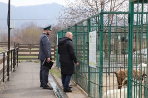 Городской зоопарк возобновил работу после устранения недочетов, выявленных Россельхознадзором