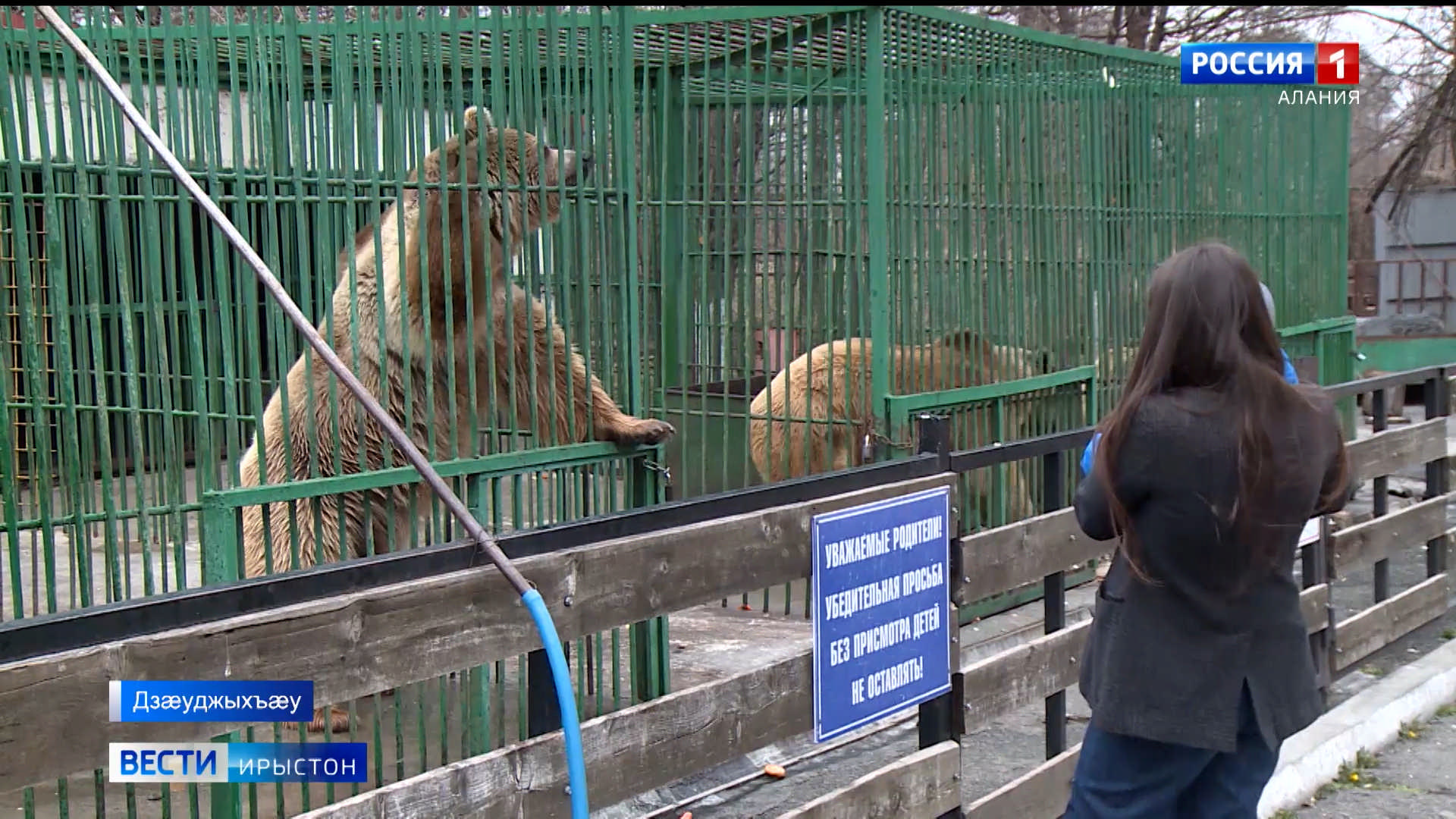 В вольерах городского зоопарка меняют напольное покрытие