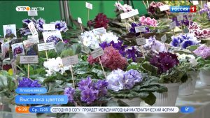 В Национальном музее республики открылась выставка цветов