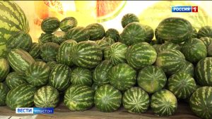 Дзæуджыхъæуы харбыз уæй кæнынц 50 бынатæй фылдæры