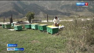 Ацы мæй сæ профессионалон бон бæрæг кæнынц мыдгæстæ