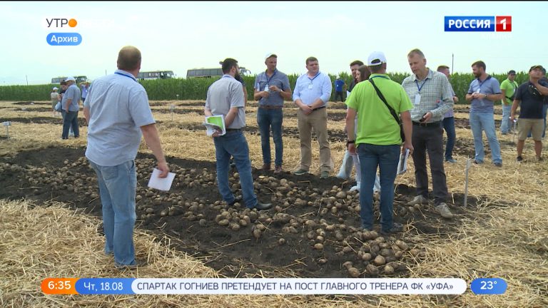 В Северной Осетии пройдет научно-практический семинар по картофелеводству