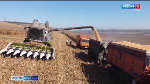 Грантты фæрцы Дыгуры районы бирæ къабæзты райрæзтыл куыст цæуы