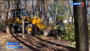 Нæ алфамбылайы сыгъдæгдзинад аразгæ у нæхицæй