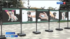 Дзæуджыхъæуы Терчы былгæрон ацыд хуызистыты равдыст «Хæлар къухтæ»