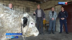 Джеоргуыбайы бæрæгбон райдайы галæргæвдæнæй