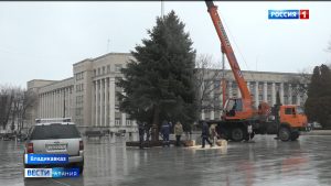Во Владикавказе установили главную новогоднюю елку республики