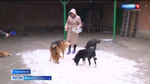 Николаевскæйæ станицæйы цæрджытæ сæ хæдзары скодтой аздон цæрæгойтæн