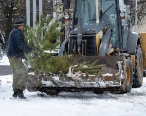 Более 40 самосвалов с выброшенными елками вывез регоператор по обращению с ТКО из Владикавказа за один день