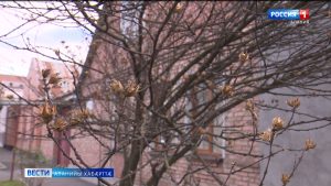 Ирыстоны хъарм рæстæг кæй хæссы, уый аххосæй бирæ бæлæстæ дидинæг ракалдтой